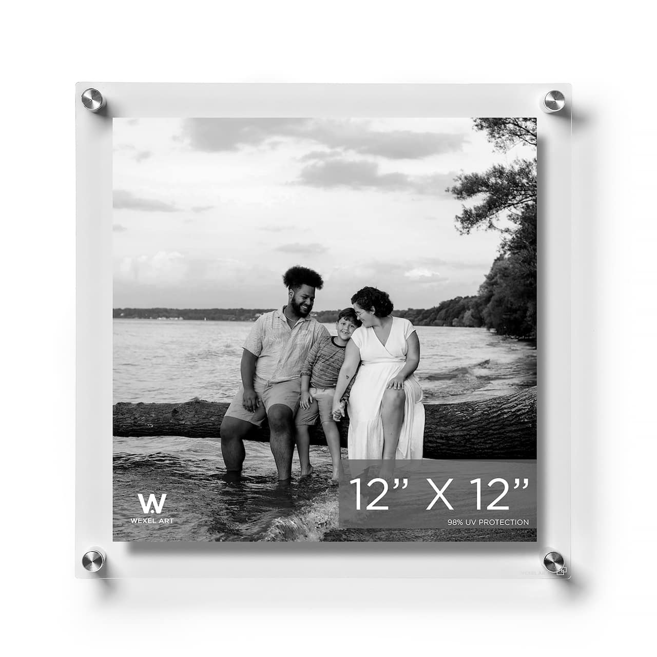 Wexel Art Double Panel Clear Acrylic Floating Wall Frame with Silver Hardware